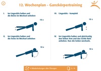 Wochenplan L - 5 / 8