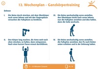 Wochenplan L - 8 / 8